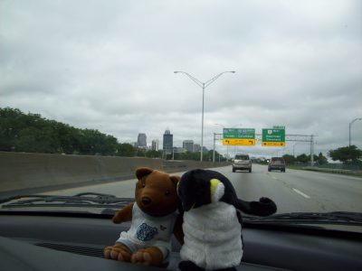 A stuffed animal bear and penguin on the dash of the car. Highway signs and tall buildings in front can be seen through the car windshield. 