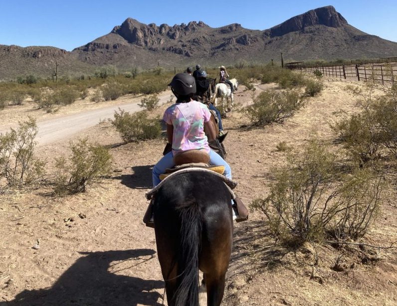 Photo taken from behind an athlete riding a horse in the dessert. Mountains in the background and athlete is wearing a pink, purple, orange, and green shirt with jeans.